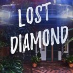 Lost Diamond: A Darke and Flare Mystery Prequel