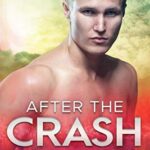 After the Crash: A Small Town Hearts Novel