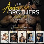 The Anderson Brothers: A Secret Baby Romance Collection