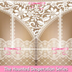 The Sexorcist (The Haunted Desperation Series #1)