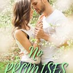 No Promises: A steamy small town romance (Winton Green Book 1)